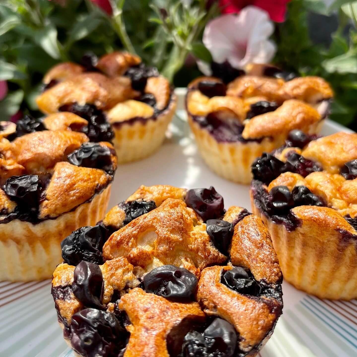 269F3848-BDA9-43B3-A90F-A75215B38CFB